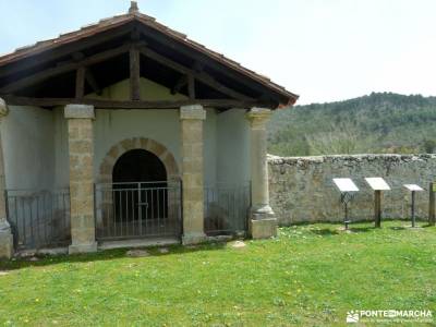 Meandros Río Tajo–Reto Senderista;parque natural urbasa y andía hayedo de la tejera negra mirado